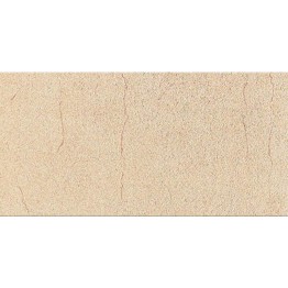 Gạch ốp tường Trường Thịnh COOLSTONE C36405